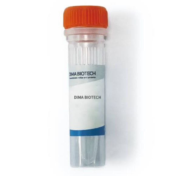 Teprotumumab (Anti-IGF-1R / CD221)